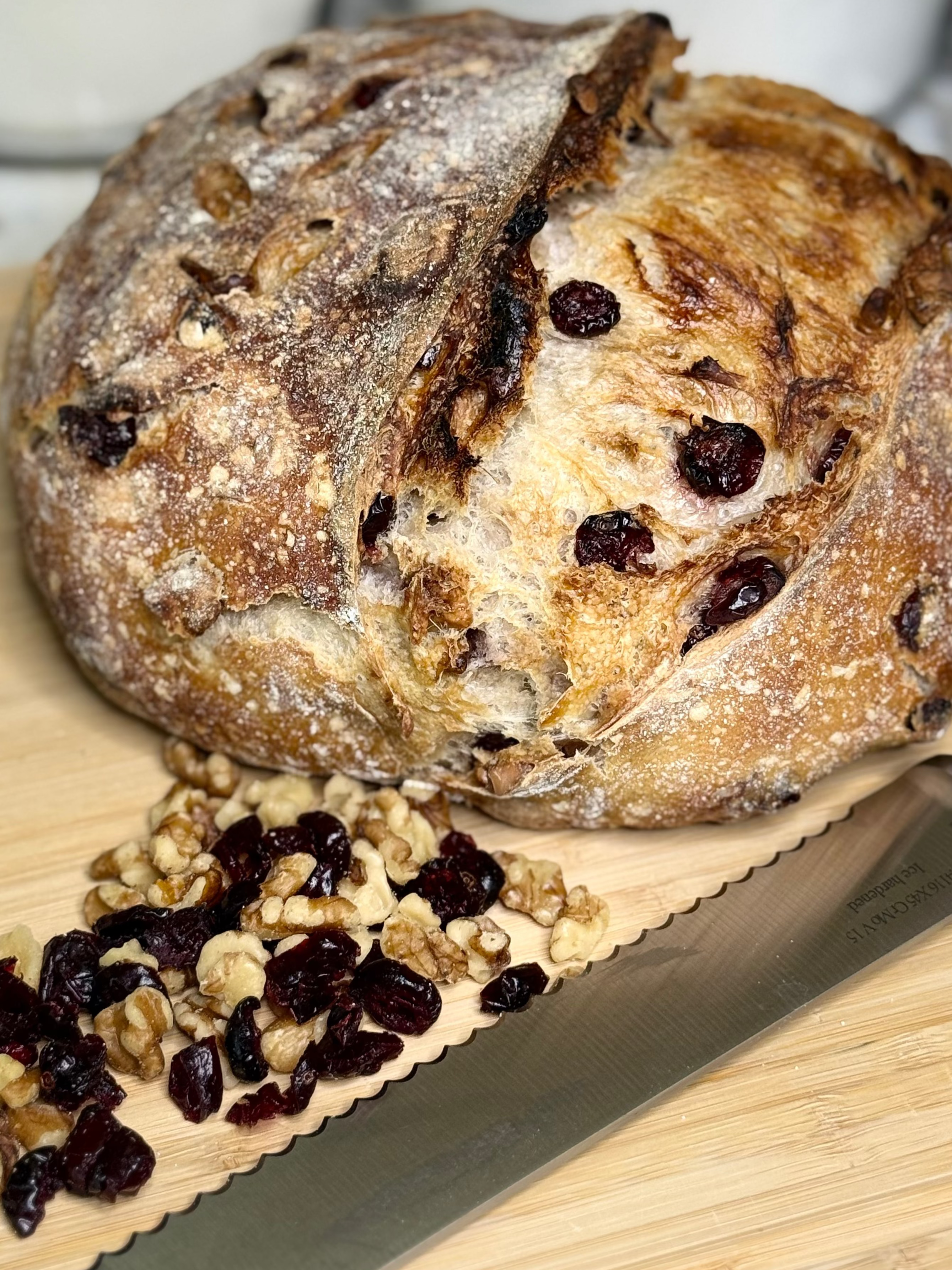 Cranberry Walnut Sourdough